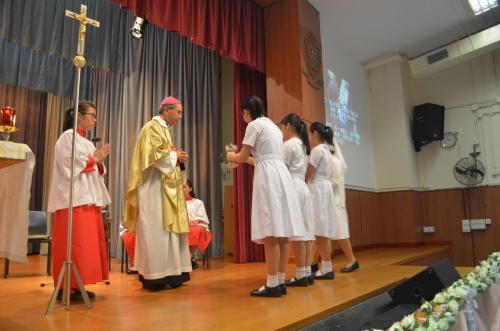 photo-14