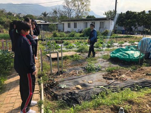 Organic Farm Visit