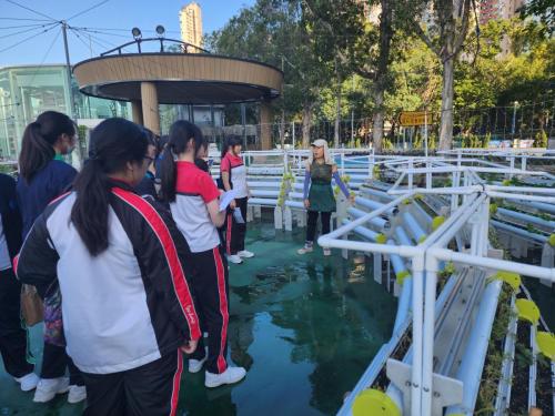 Guided Tour of Urban Farming