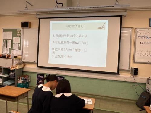 WhatsApp-圖片儲存時間2025-03-10，15.58.59 794a3798