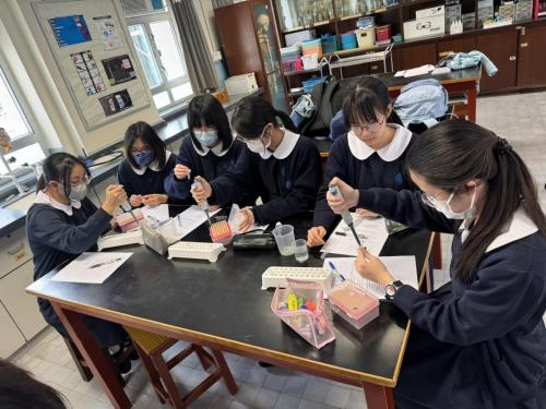 Viruses and Evolution Workshop、"DNA Species Identification STEM Workshop"